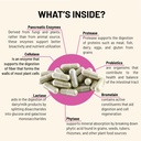 mountain-peak-nutritionals-digestive-enz-4.jpg