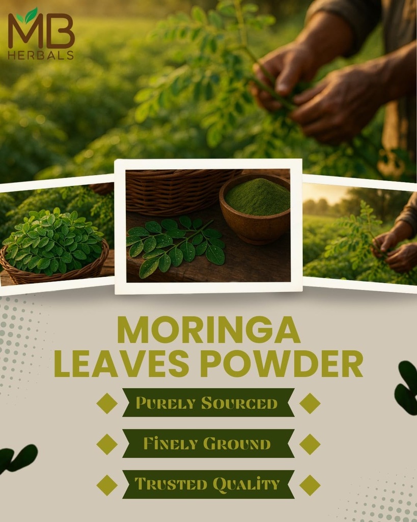 mb-herbals-moringa-leaf-powder-1-lb-16-o-5.jpg