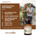 naturewise-1-raspberry-ketones-green-tea-6.jpg