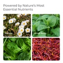 livingood-daily-mood-support-supplement--3.jpg