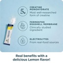 ancient-nutrition-creatine-collagen-elec-3.jpg