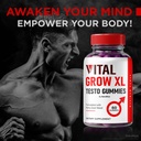 3-pack-vital-grow-xl-official-vital-grow-4.jpg