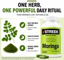 streek-moringa-capsules-pure-moringa-ole-2.jpg