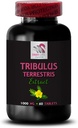 tribulus-terrestris-root-premium-tribulu-2.jpg