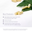 akshar-ayurveda-gluco-support-supplement-3.jpg