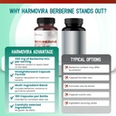 liposomal-berberine-with-cinnamon-bitter-6.jpg