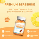 berberine-gummies-1200mg-high-potency-be-5.jpg