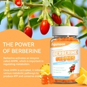 berberine-gummies-1200mg-high-potency-be-3.jpg