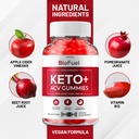 bio-fuel-keto-acv-gummies-advanced-formu-5.jpg