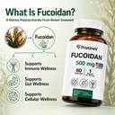 pristine-s-fucoidan-500mg-immunity-suppl-3.jpg