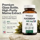 pristine-s-fucoidan-500mg-immunity-suppl-2.jpg