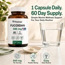 pristine-s-fucoidan-500mg-immunity-suppl-5.jpg