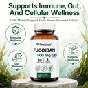 pristine-s-fucoidan-500mg-immunity-suppl-4.jpg