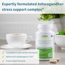 igennus-high-strength-ashwagandha-ksm-66-2.jpg