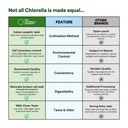 fermented-chlorella-spirulina-tablets-br-5.jpg