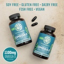 sunwarrior-vegan-omega-3-dha-epa-supplem-5.jpg