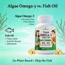 vegan-omega-3-softgels-from-algae-oil-fi-4.jpg