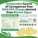 vegan-omega-3-carrageenan-free-plant-bas-2.jpg