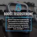rsp-nutrition-prime-t-testosterone-boost-4.jpg