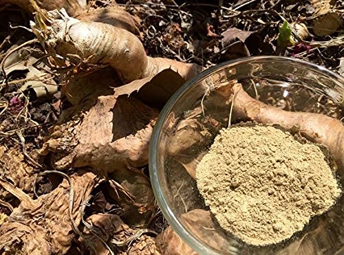 metrol-mulondo-mondia-whitei-root-powder-4.jpg