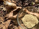 metrol-mulondo-mondia-whitei-root-powder-4.jpg