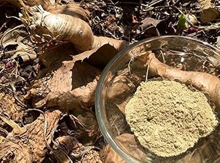 bt-m-u-l-o-nd-o-mondia-whitei-root-powde-3.jpg