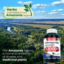 fito-medic-s-lab-ashwagandha-ashwagandha-5.jpg