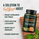 smnutrition-saffron-supplement-ashwagand-2.jpg