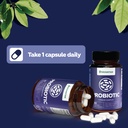 probiotics-and-prebiotics-gut-health-sup-4.jpg