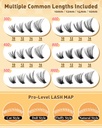 calphdiar-eyelash-clusters-30d-40d-50d-6-6.jpg