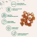 micro-ingredients-ksm-66-ashwagandha-gum-5.jpg