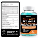 shilajit-sea-moss-ashwagandha-gummies-wi-2.jpg