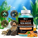 shilajit-sea-moss-ashwagandha-gummies-wi-6.jpg