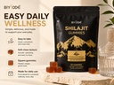 shilajit-gummies-pure-shilajit-himalayan-3.jpg