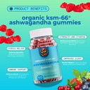 generic-nyum-nutrition-organic-ksm-66-as-3.jpg