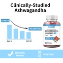 ashwagandha-gummies-with-vitamin-d-non-g-4.jpg