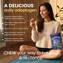 organic-ashwagandha-ksm-66-gummy-chews-3-3.jpg