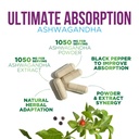 ashwagandha-supplements-high-absorption--3.jpg