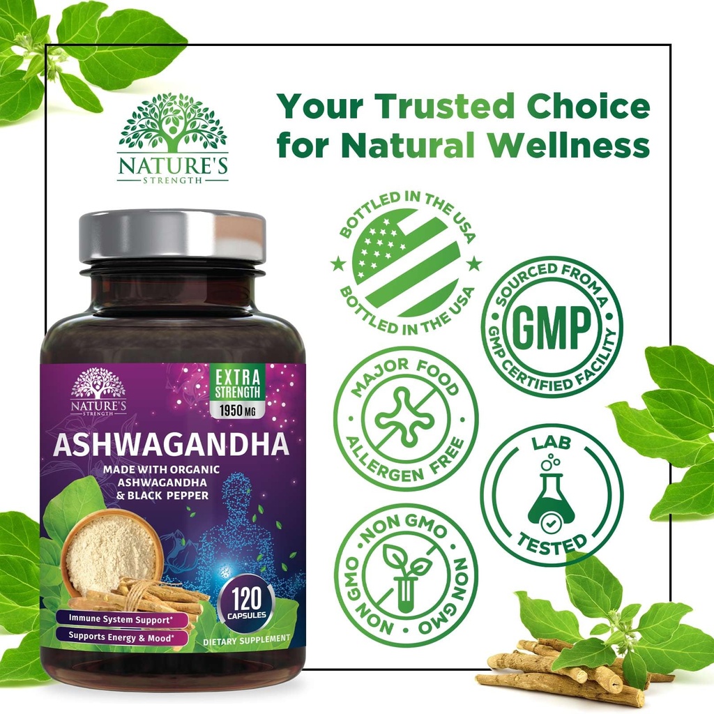 ashwagandha-supplements-high-absorption--4.jpg