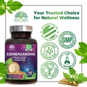 ashwagandha-supplements-high-absorption--4.jpg