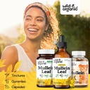 wild-organic-mullein-drops-for-lungs-cle-4.jpg