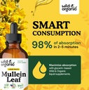 wild-organic-mullein-drops-for-lungs-cle-5.jpg