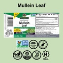 nature-s-answer-mullein-herb-mullein-lea-2.jpg