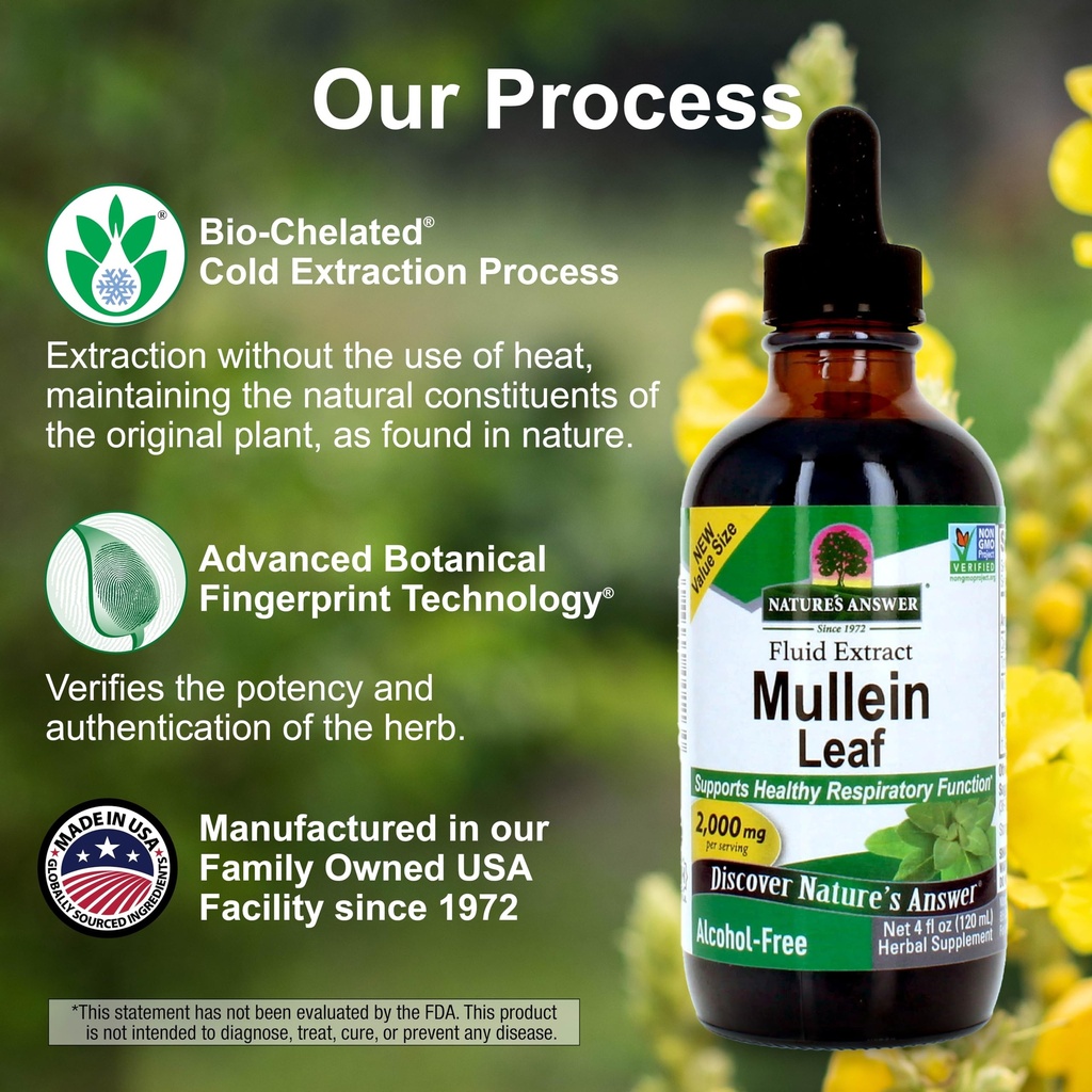 nature-s-answer-mullein-herb-mullein-lea-3.jpg