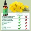 organic-mullein-drops-for-lung-cleanse-p-5.jpg