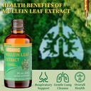 organic-mullein-drops-for-lung-cleanse-p-4.jpg
