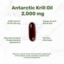 deal-supplement-antarctic-krill-oil-2-00-3.jpg
