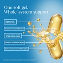 cellbb-immune-equilibrium-animal-derived-5.jpg