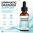 lymphatic-drainage-drops-lymphatic-syste-2.jpg
