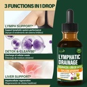 lymphatic-drainage-drops-with-echinacea--2.jpg